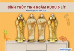 Bình thủy tinh ngâm rượu 5 lít