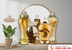Bình ngâm rượu sâm 5 lít
