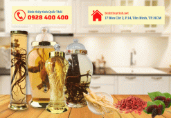 bình thủy tinh ngâm rượu 30 lít mua ở đâu