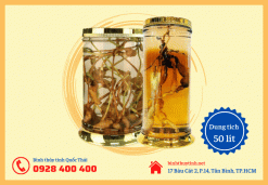 Bình thủy tinh ngâm rượu 50 lít