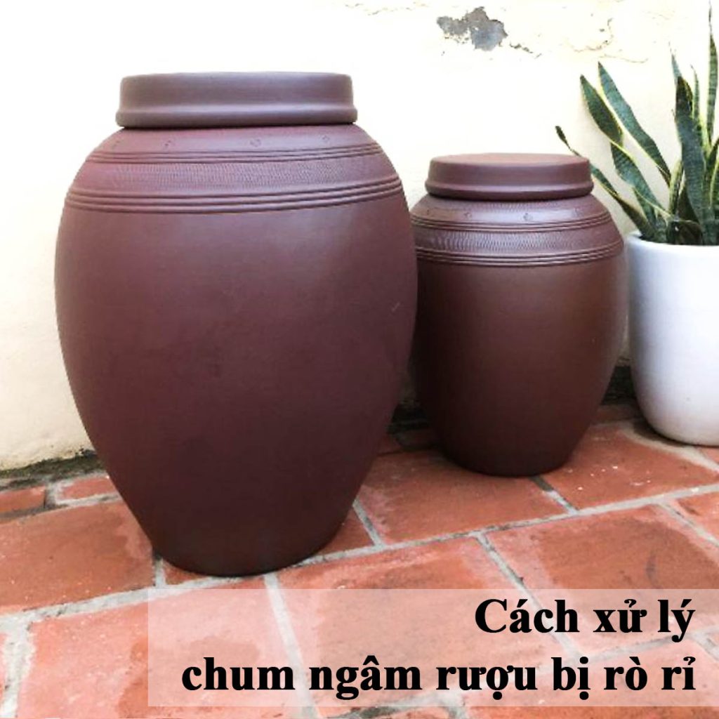 Chum ngâm rượu bị rò