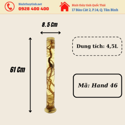 Bình 4,5L Hàn Quốc